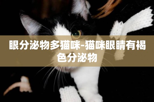 眼分泌物多猫咪-猫咪眼睛有褐色分泌物